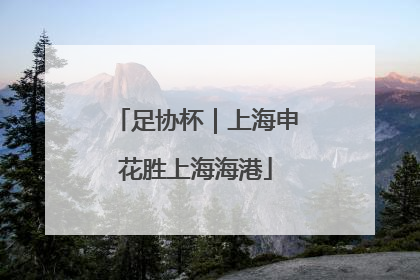 足协杯｜上海申花胜上海海港